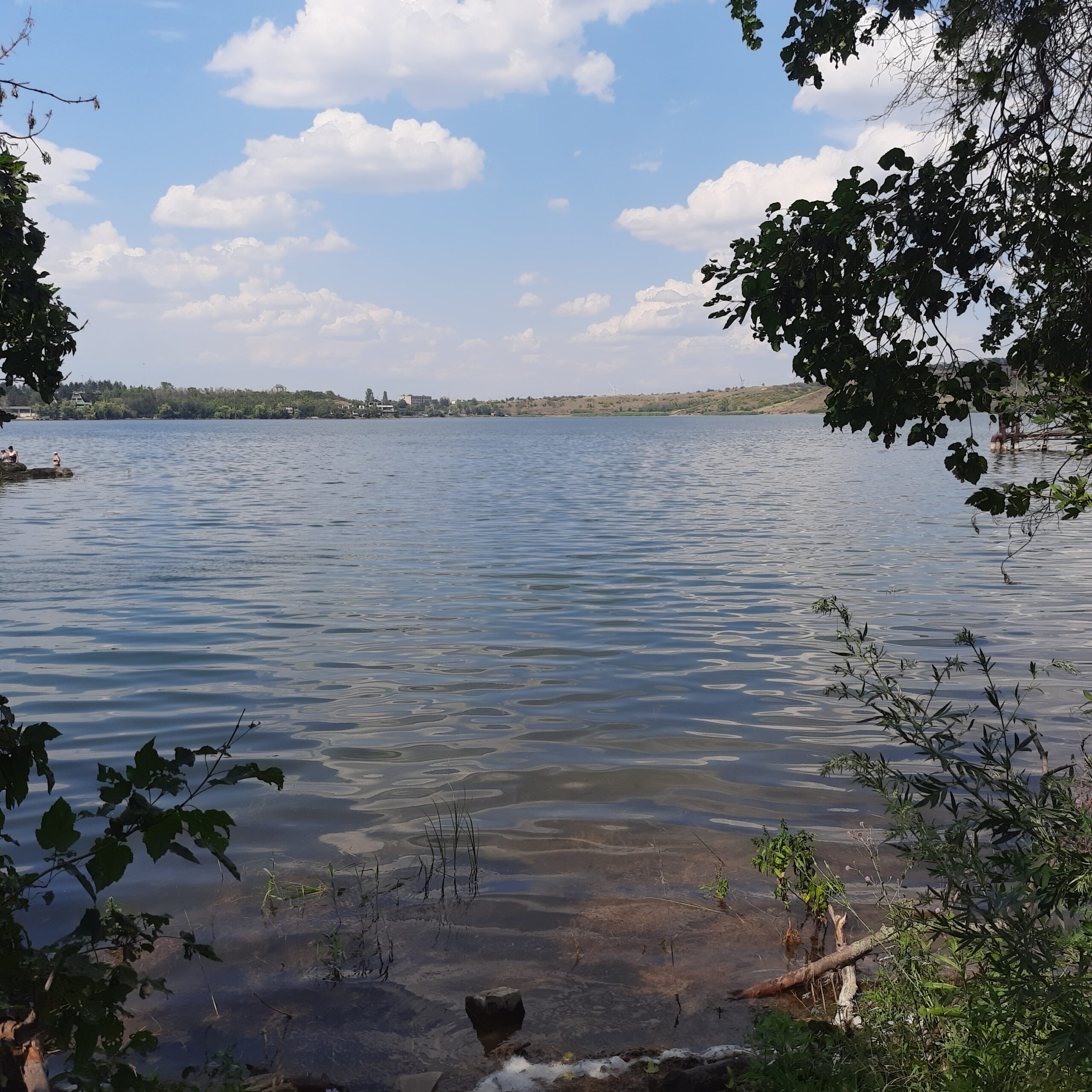 №1148 Продаётся земельный участок на берегу Исаковского водохранилища, общ-во "Металлург-1"
